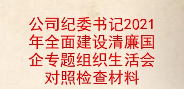 公司纪委书记2021年全面建设清廉国企专题组织生活会对照检查材料