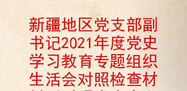 新疆地区党支部副书记2021年度党史学习教育专题组织生活会对照检查材料(对照党中央和习近平总书记的号召和要求、入党誓词、革命先辈和先进典型等四个方面)