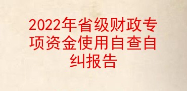 2022年省级财政专项资金使用自查自纠报告