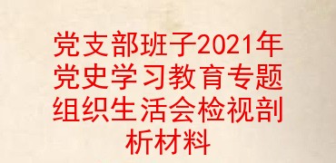 党支部班子2021年党史学习教育专题组织生活会检视剖析材料