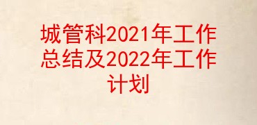 城管科2021年工作总结及2022年工作计划
