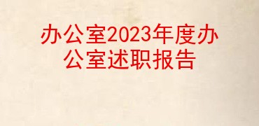 办公室党支部书记2023年度办公室党支部述职报告