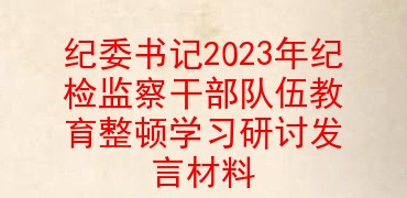 纪委书记2023年纪检监察干部队伍教育整顿学习研讨发言材料