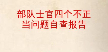 部队士官四个不正当问题自查报告