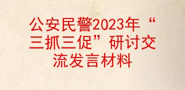 公安民警2023年“三抓三促”研讨交流发言材料