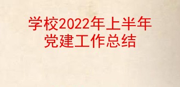 学校2022年上半年党建工作总结