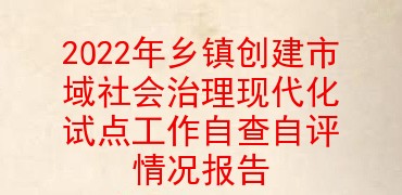 2022年乡镇创建市域社会治理现代化试点工作自查自评情况报告