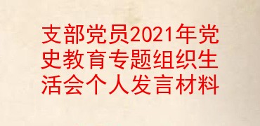 支部党员2021年党史教育专题组织生活会个人发言材料