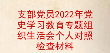 支部党员2022年党史学习教育专题组织生活会个人对照检查材料
