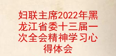 妇联主席2022年黑龙江省委十三届一次全会精神学习心得体会