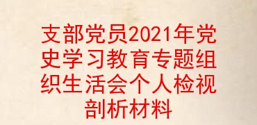 支部党员2021年党史学习教育专题组织生活会个人检视剖析材料