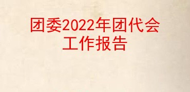 团委2022年团代会工作报告