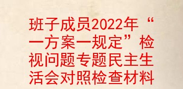 班子成员2022年“一方案一规定”检视问题专题民主生活会对照检查材料