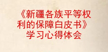 《新疆各族平等权利的保障白皮书》学习心得体会
