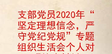 支部黨員2020年堅定理想信念嚴守黨紀黨規專題組織生活會個人對照檢查