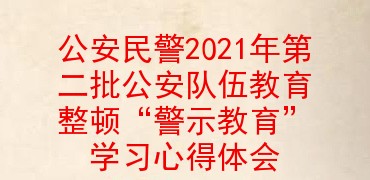 公安民警2021年第二批公安队伍教育整顿“警示教育”学习心得体会
