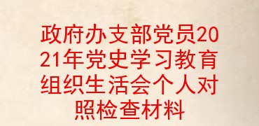 政府办支部党员2021年党史学习教育组织生活会个人对照检查材料