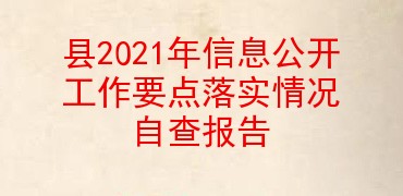 县2021年信息公开工作要点落实情况自查报告