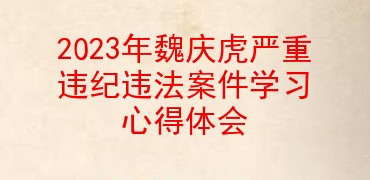 2023年魏庆虎严重违纪违法案件学习心得体会