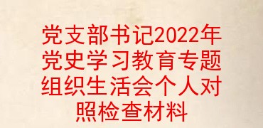 党支部书记2022年党史学习教育专题组织生活会个人对照检查材料