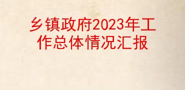 乡镇政府2023年工作总体情况汇报