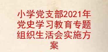 小学党支部2021年党史学习教育专题组织生活会实施方案