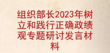 组织部长2023年树立和践行正确政绩观专题研讨发言材料