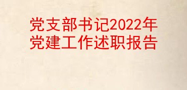 党支部书记2022年党建工作述职报告