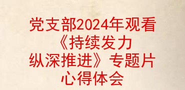 党支部书记2024年观看《持续发力 纵深推进》专题片心得体会