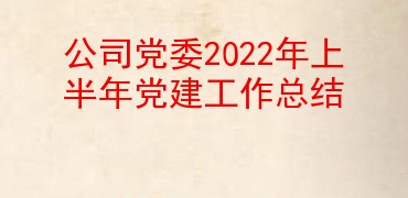 公司党委2022年上半年党建工作总结