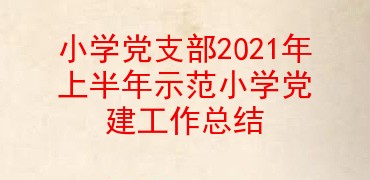 小学党支部2021年上半年示范小学党建工作总结