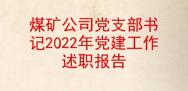 煤矿公司党支部书记2022年党建工作述职报告