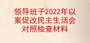领导班子2022年以案促改民主生活会对照检查材料