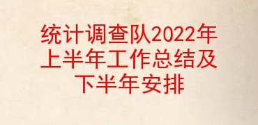 统计调查队2022年上半年工作总结及下半年安排