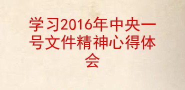 学习2016年中央一号文件精神心得体会