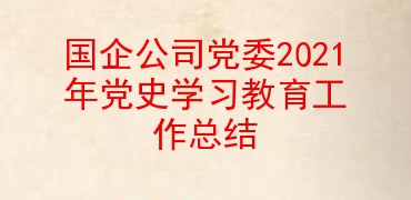 国企公司党委2021年党史学习教育工作总结