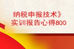 納稅申報技術實訓報告心得800