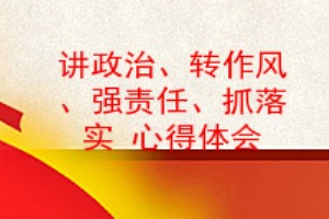 讲政治转作风强责任抓落实心得体会