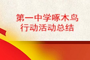 年終總結以及第一中學啄木鳥行動活動總結的相關參考文章,您可以及時