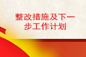 整改措施及下一步工作計劃