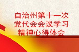 自治州第十一次党代会会议学习精神心得体会