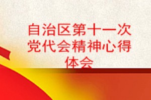 自治区第十一次党代会精神心得体会