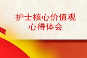 如果您有任何類似的工作總結或者護士核心價值觀心得體會的相關文章