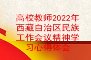 高校教师2022年西藏自治区党委民族工作会议精神学习心得体会