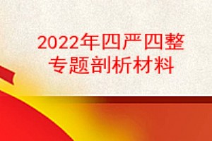 2022年四严四整专题组织生活会剖析材料