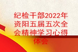 纪检干部2022年资阳市委五届五次全会精神学习心得体会