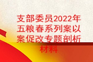 支部委员2022年五粮春系列案以案促改专题组织生活会剖析材料
