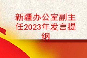 新疆办公室副主任2023年发言提纲