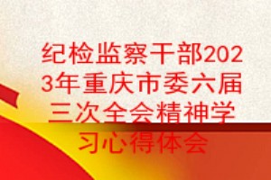纪检监察干部2023年重庆市委六届三次全会精神学习心得体会