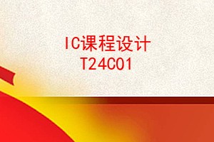 ICγ T24C01